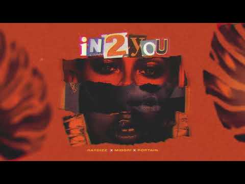Raydizz - In2You Feat. Midori & Poptain (Official Audio)
