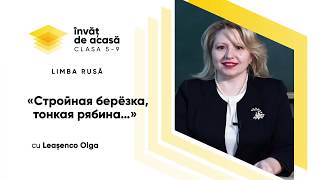 "Стройная берёзка, тонкая рябина"