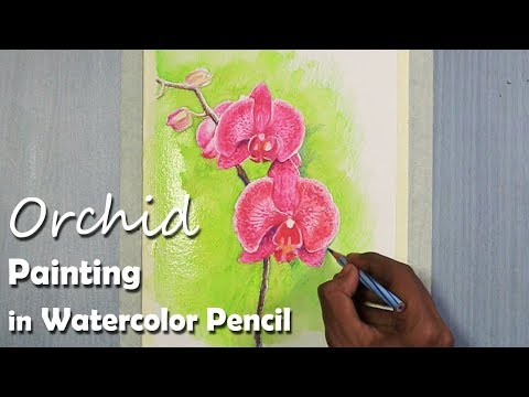 Mountains and Pine Tress Watercolor Pencil Landscape Drawing | steps to follow