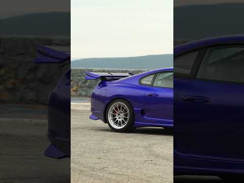 PDG49 SUPRA - Final Days!