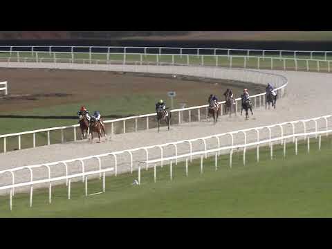 2020.12.06. 01. futam - NYERETLEN KÉTÉVESEK VERSENYE (IV.kat.)(szintetikus pálya)