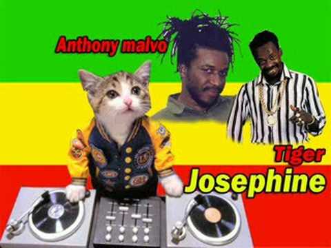 Tiger & Anthony Malvo - Josephine