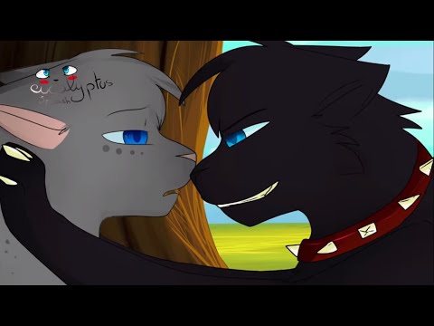 Speedpaint - Warrior Cats Jayfeather/ Häherfeder 