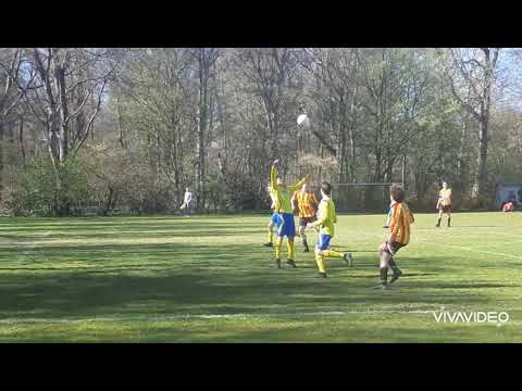 Sporting Martinus - Legmeervogels