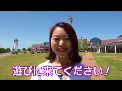 経営情報学科 【新潟国際情報大学】2019年7月からオープンキャンパスを開催します！