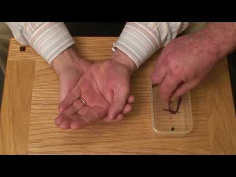 The Earthworm Dies in Aidan Wrynne's hand
