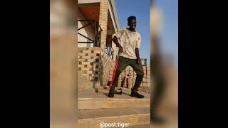 Download lagu Kizz Daniel, Philkeyz - Nesesari challenge ( dance) mp3