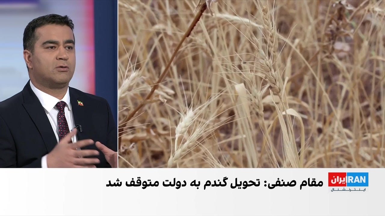 وضعیت نابسامان نان در ایران