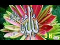 Allahu Allah Soron Koro Bangla New Gojol 2019