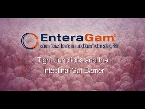 EnteraGam® MOA - Tight Junction Proteins (2016)