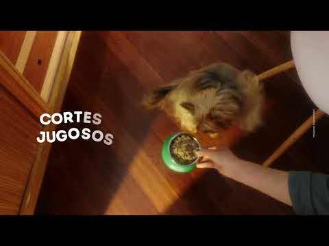 Sabor irresistible con Sabrosobres® Dog Chow®