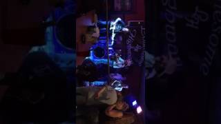 Copperhead Rd, Lonesome Highway thirsty Lizard