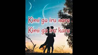 Dream(Yume) lyrics - Shota Shimizu