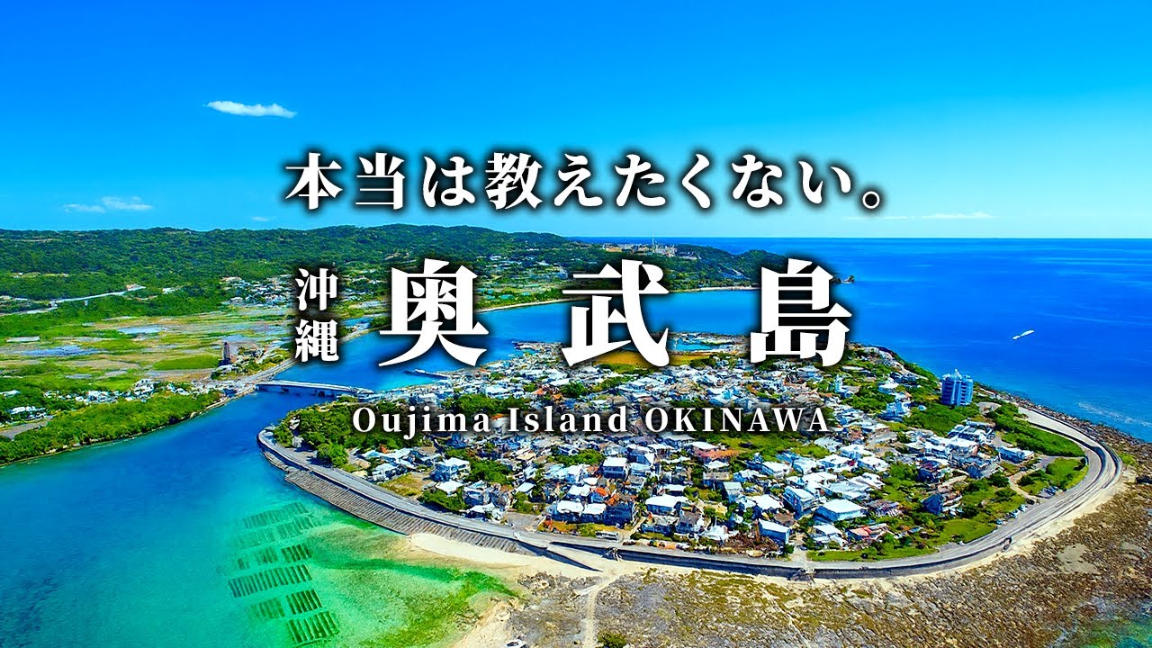 【沖縄】絶景を眺めながら絶品グルメを楽しむ離島！奥武島の魅力をドドーンとご紹介！県民がてんぷら食べ比べガチレビュー！車でも行けるよ♪　沖縄南部・沖縄そば 観光 カフェ 猫島