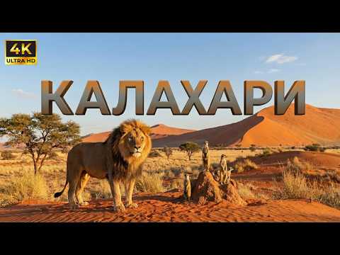 ДИКАЯ КАЛАХАРИ. Тайны великой битвы за выживание.Царство хищников |Документальный фильм в формате 4K
