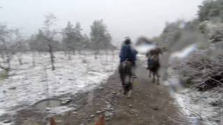 preview picture of video 'Horseback ride in Snow in August in the Andes'