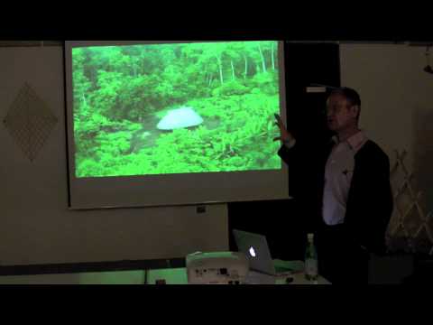 Tomorrow - Irenee Scalbert