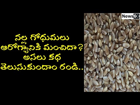 black wheat benefits in telugu