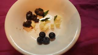 ダックスフンド　手作り　ごはん　あゆ先輩の好きな食べ物ランキングを決める動画　レバーVS　チーズVS　海苔VS　ブルーベリー　の日