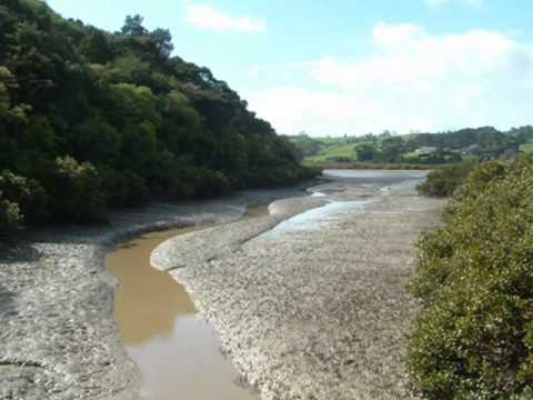 Black Muddy River - Grateful Dead