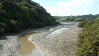 Black Muddy River - Grateful Dead