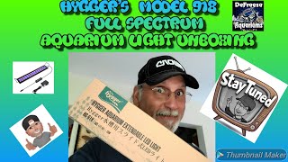 Best light for fish tank? Hygger HG-918: Everything You Need to Know
