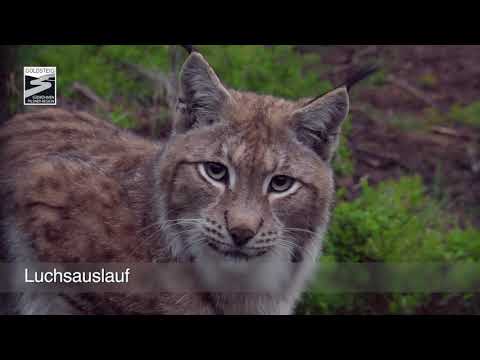 Goldsteig Tschechien - Etappen in Südböhmen
