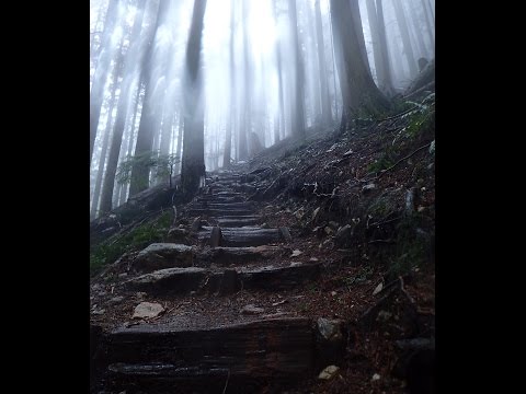 Barkley Marathons Training Day -  North Vancouver, BC