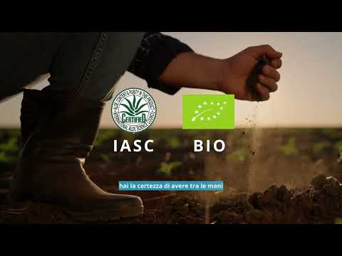 Aloe Vera Gel immunitario con polpa, BIO RAW - Integratore alimentare - 7