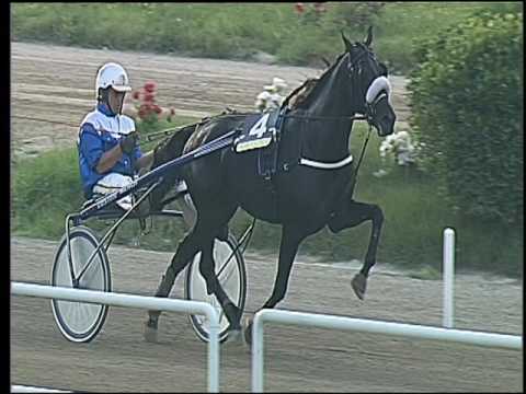 Trotto 25/06/2016 - 8° corsa