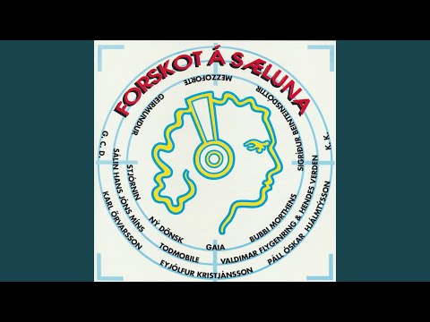 Þitt síðasta skjól