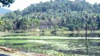 preview picture of video '001 THATTEKAD SALIM ALI BIRD'S SANCTUARY VIEWS by www.travelviews.in'