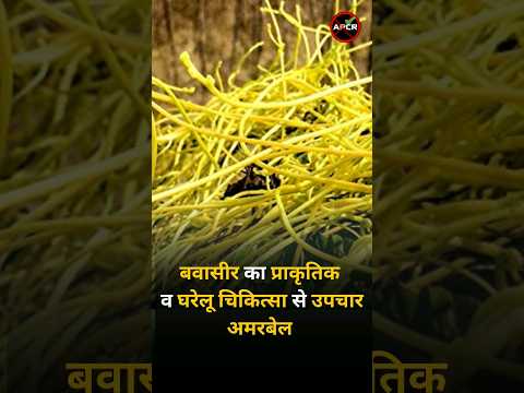 Treatment of piles with natural and home remedies : Amarbel #piles #constipation #hemorrhoids