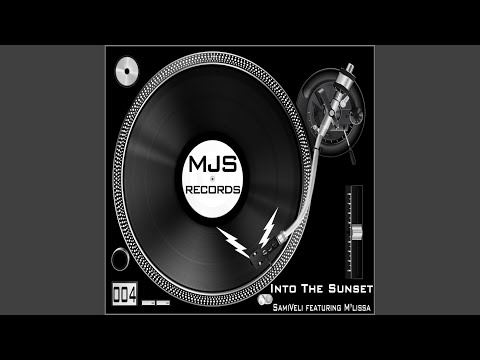 Into The Sunset (Original Mix)