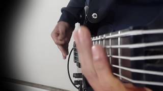 Meshuggah - Our Rage Won't Die (Bass Cover)