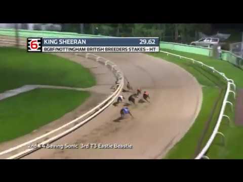 2019 BGBF BRITISH BREEDERS STAKES - HEAT 1 - T6 KING SHEERAN