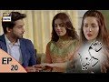 Rasm-e-Duniya Episode 20  - 8th June  2017 | ARY Digital Drama