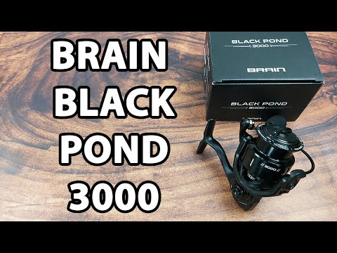  Котушка Brain Black Pond 3000 (5+1 підшипник)