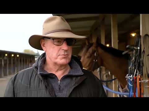 Julius - John Bell 2 Sep 2020