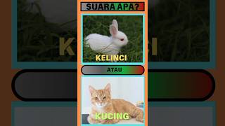 Download lagu Suara kelinci #kuisiq #logicgames #tebaktebakan #gamekuis #kuisasik #kelinci #suarahewan mp3
