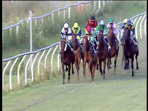 Galoppo 27/07/2018 - 4ª corsa