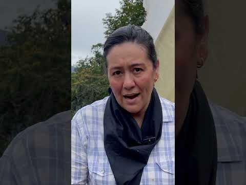 miPáramo | Conservar el bosque es proteger la vida