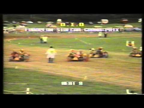 grasstrack 1985 European sidecar semi final