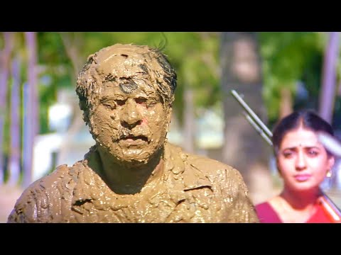 ഇതെന്ത് കോലം, കടുവാകളിക്കാരനെ പോലുണ്ട് | Mammootty | Priya Gill | Comedy Scene - Megham