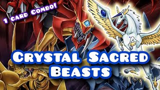 Crystal Sacred Beasts! 1 & 2 Card Combos (feat. DoomZ)!