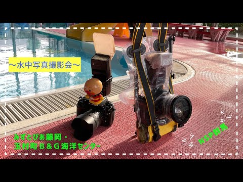 aménagement piscine jardin décorative-longue-étroite