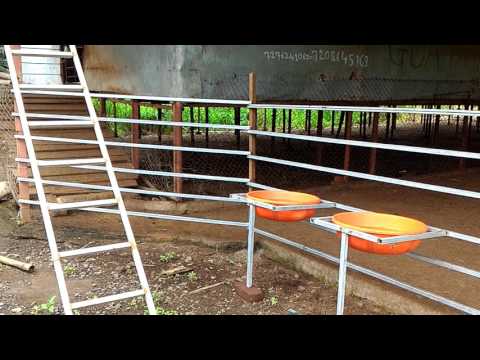 3rd visit to Yatish goat farm with some shade modifications