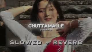 Download lagu πΎππͺπ©π©ππ’ππ‘π‘π ( ππ‘π€π¬ππ   πππ«ππ§π ) ππππ‘π₯π πππ€ - πΏππ«ππ§π ' πππ & π
πΌππππ ππΌππππ mp3 Download lagu πΎππͺπ©π©ππ’ππ‘π‘π ( ππ‘π€π¬ππ   πππ«ππ§π ) ππππ‘π₯π πππ€ - πΏππ«ππ§π ' πππ & π
πΌππππ ππΌππππ mp3