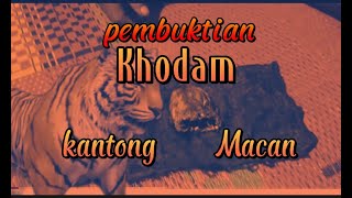 Download lagu Tes Pusaka KANTONG MACAN mp3