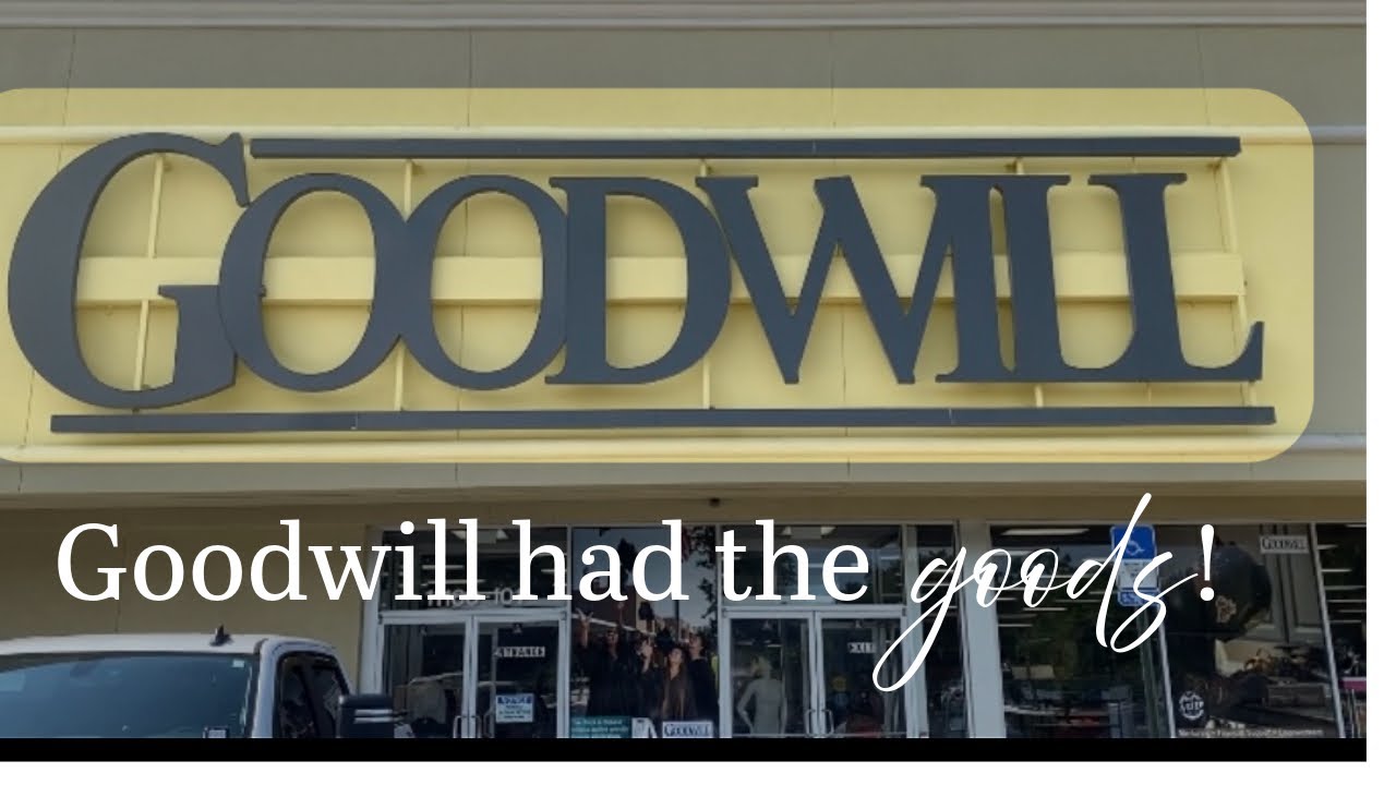 I WENT TO GOODWILL JUST TO LOOK AROUND AND FOUND THESE GEMS👀! #thriftvlog #vlog #thrifting 